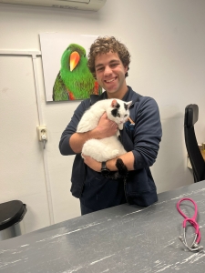 Sharino dierenarts Dierenkliniek Rhenen